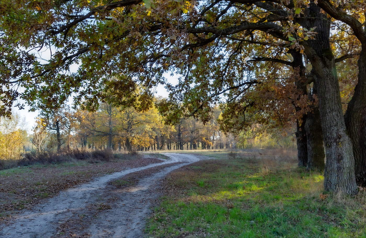 НА ЗАДВОРКАХ ОКТЯБРЯ