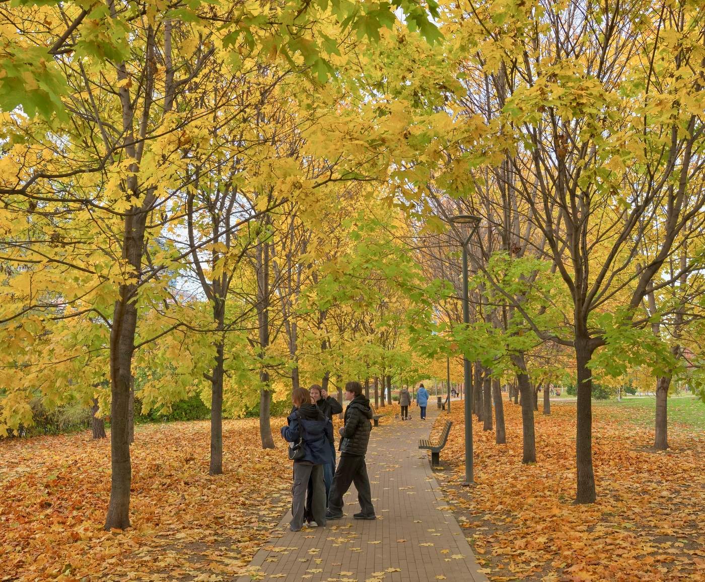 Осень золотая