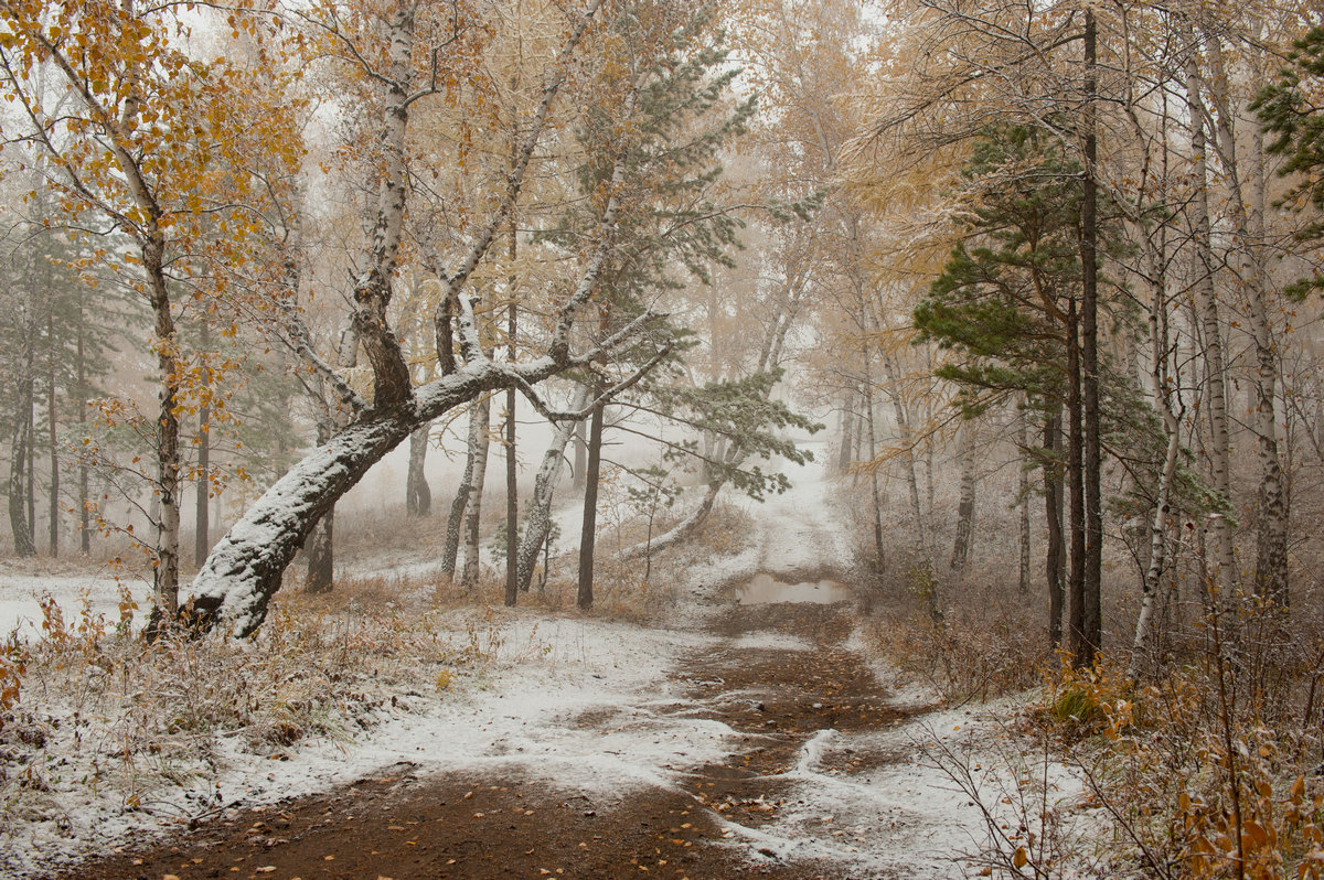 Осень в снегу.