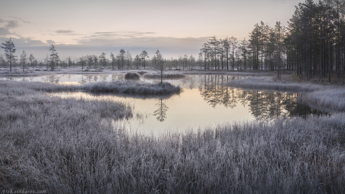 "Морозное утро"