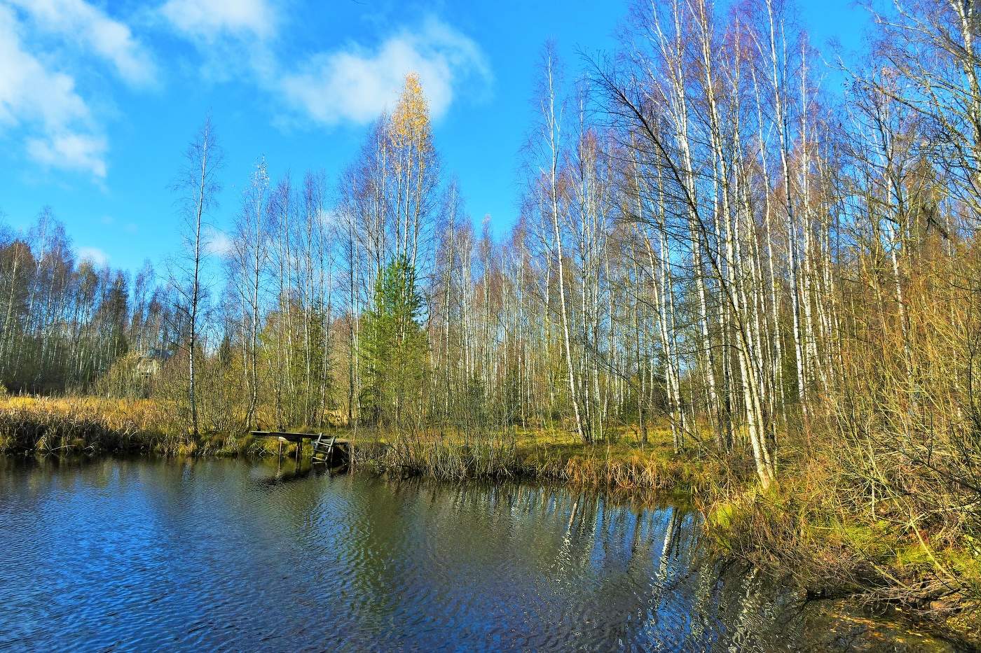"Уж роща отряхает последние листы с нагих своих ветвей..."