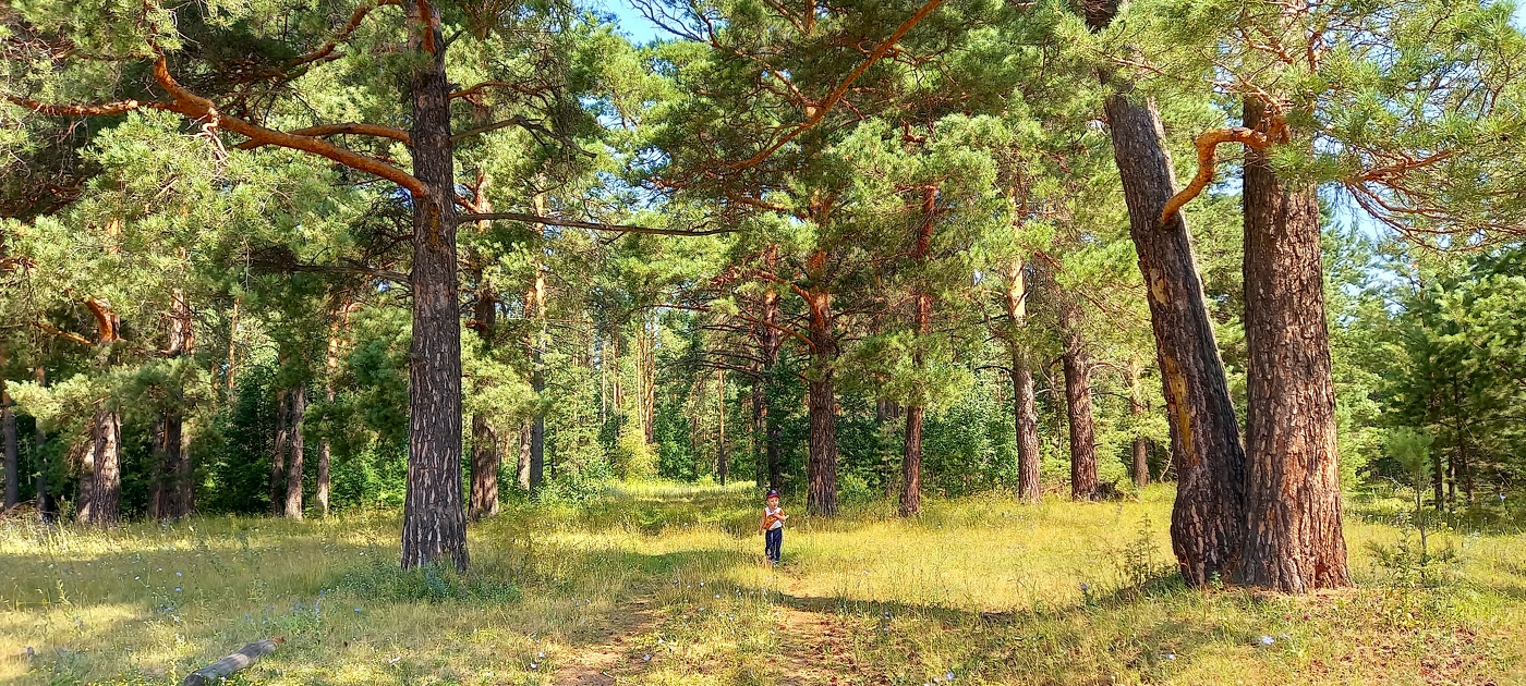 вспоминая лето