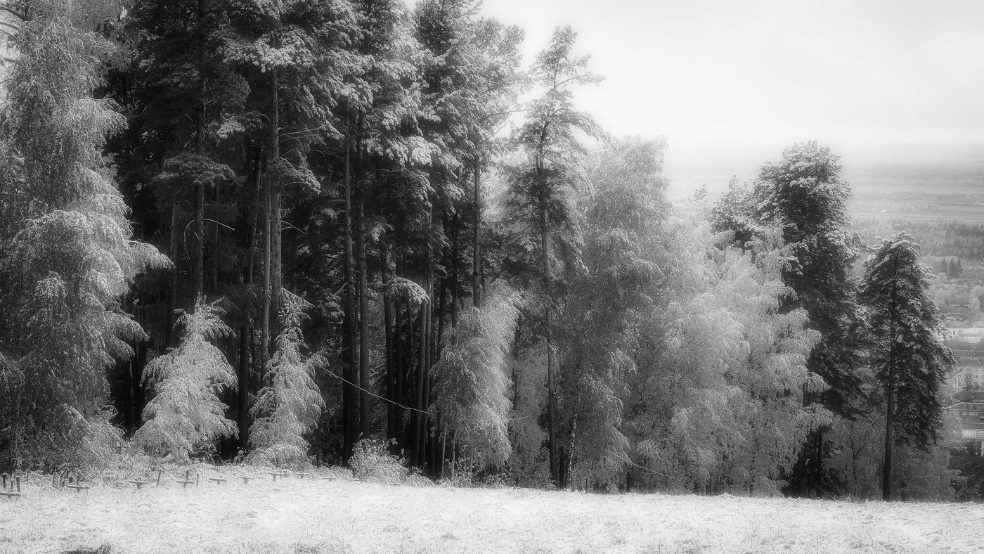 Ноябрь — это новый плейлист и кофе по новому рецепту.