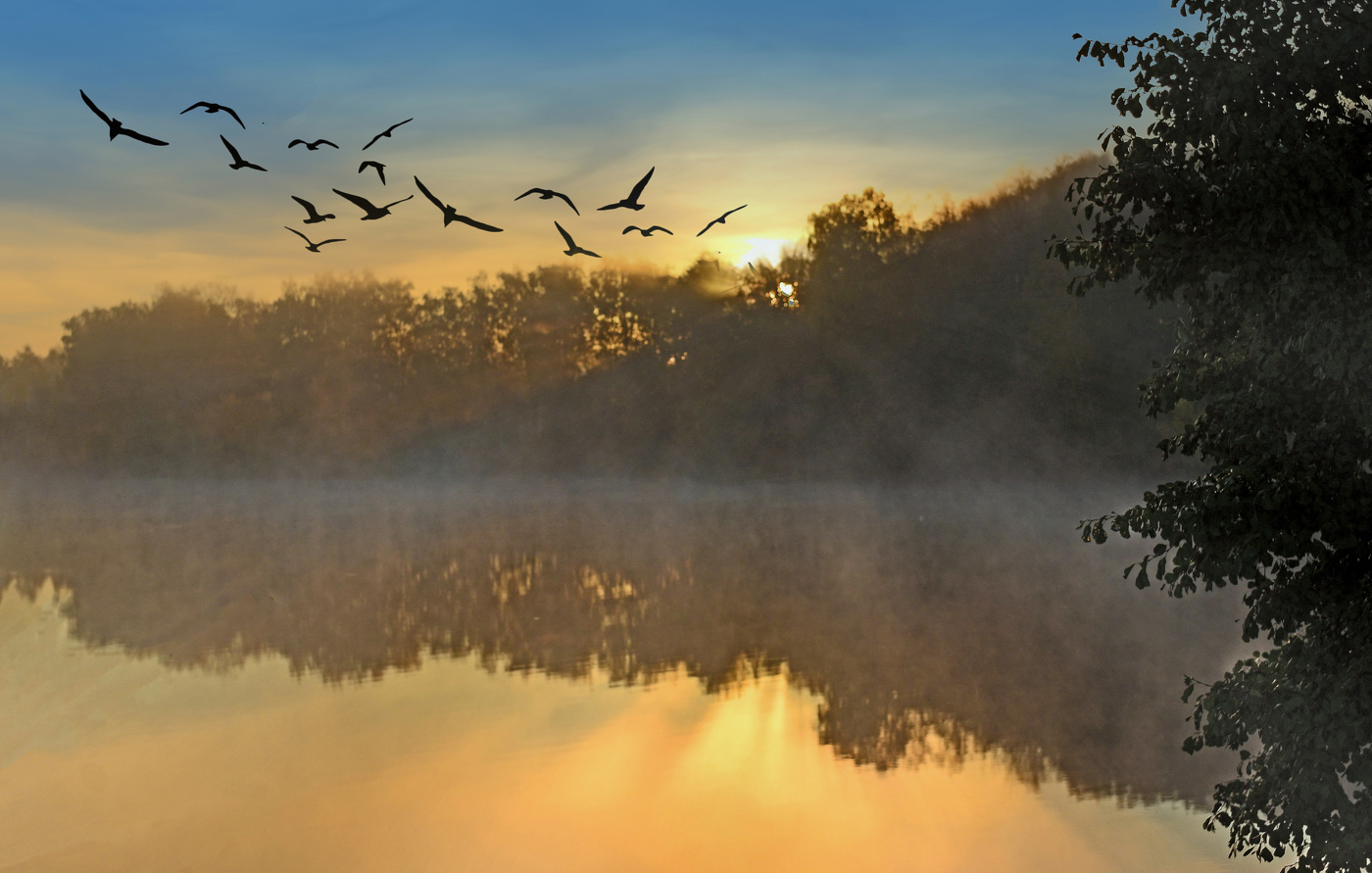 Позолоченный сезон.