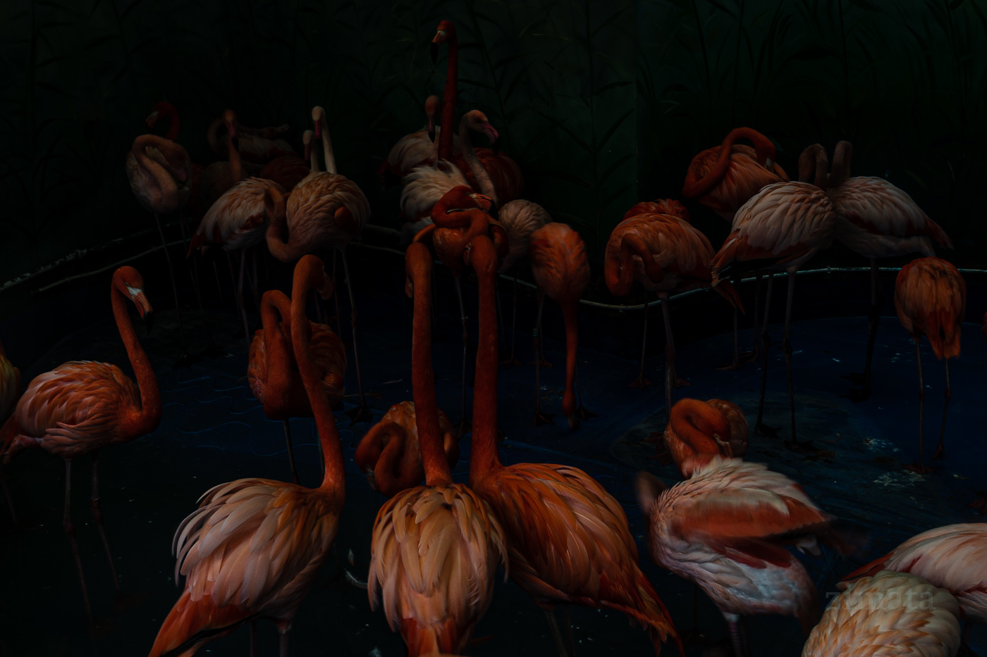 Просто картинка