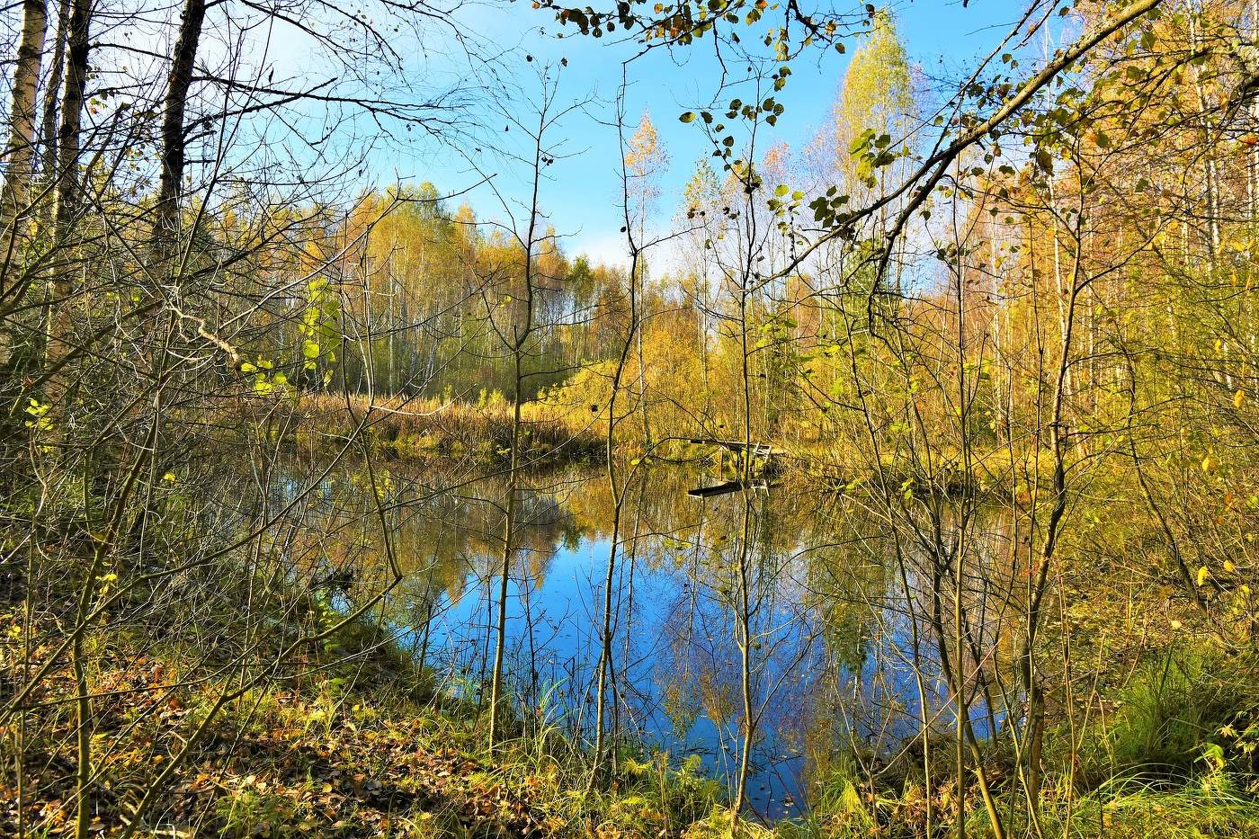 "Это осень - пора увяданья, краткий миг красоты неземной..."