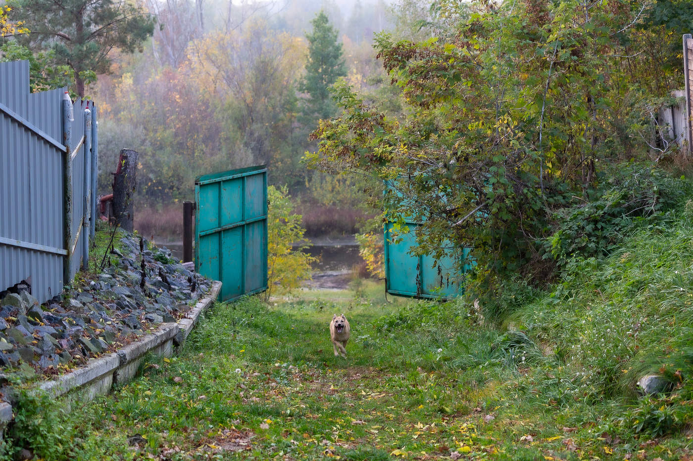 НЕПРЕДВИДЕННАЯ ВСТРЕЧА