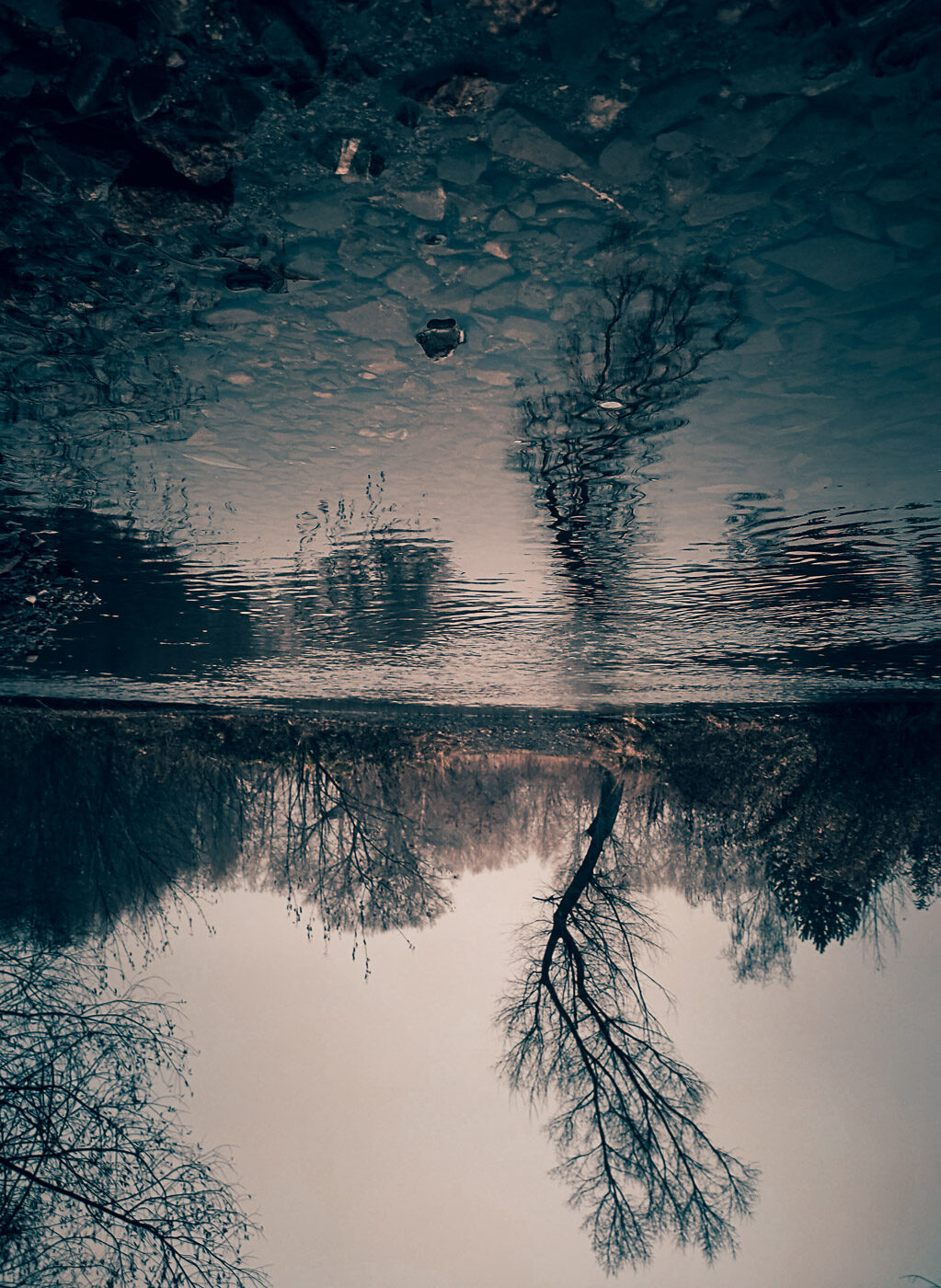 Застучали по стеклу, ветер, осень и тоска...