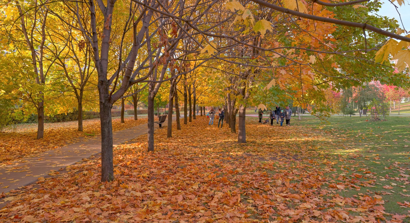 Дни золотые