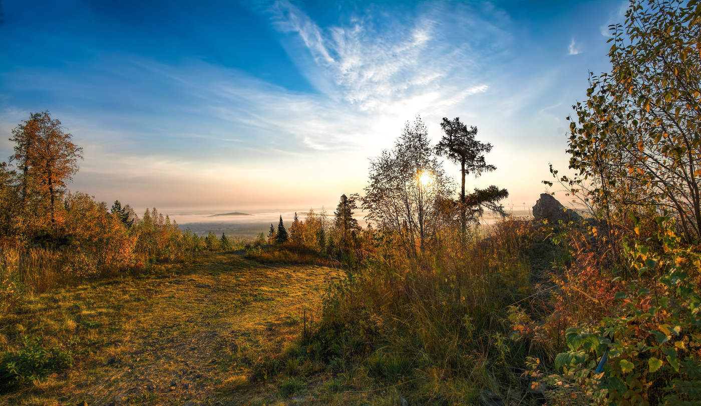 Солнечное утро