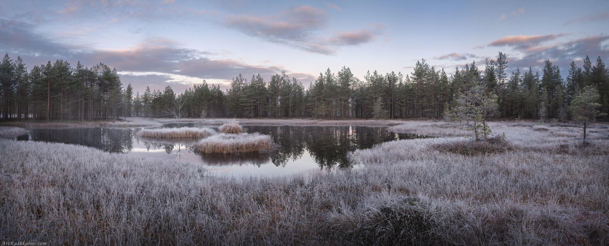 "Изморозь на болоте"