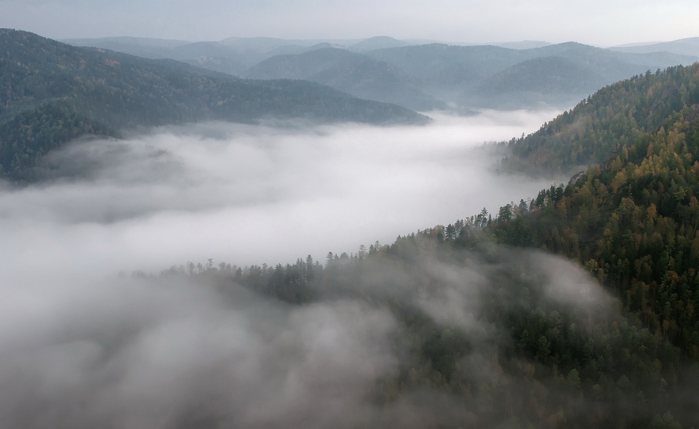 Туман над рекой