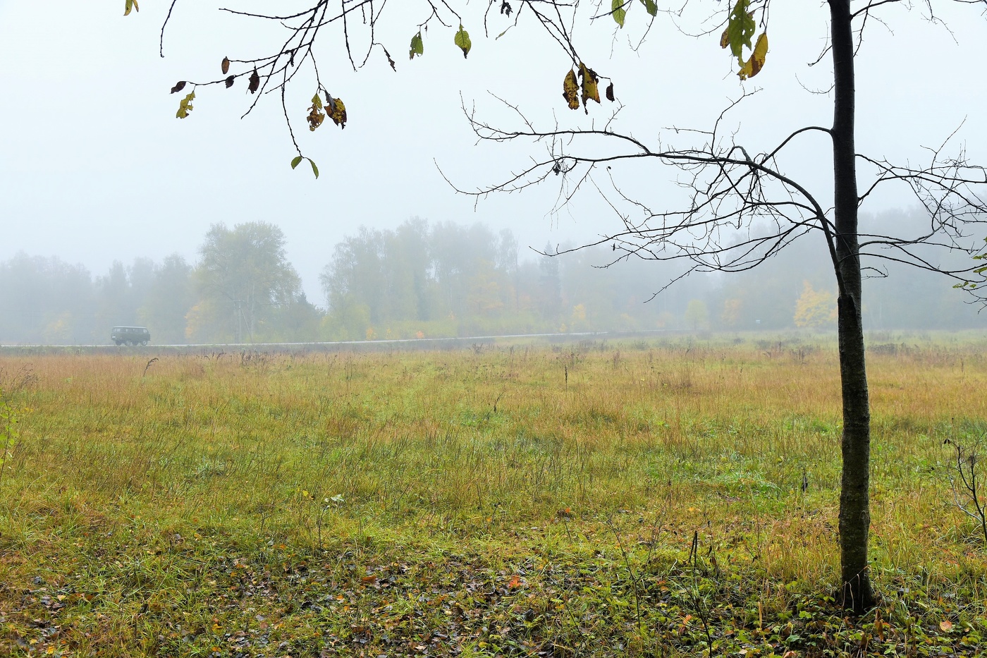 "Дохнул осенний хлад - дорога промерзает ..."