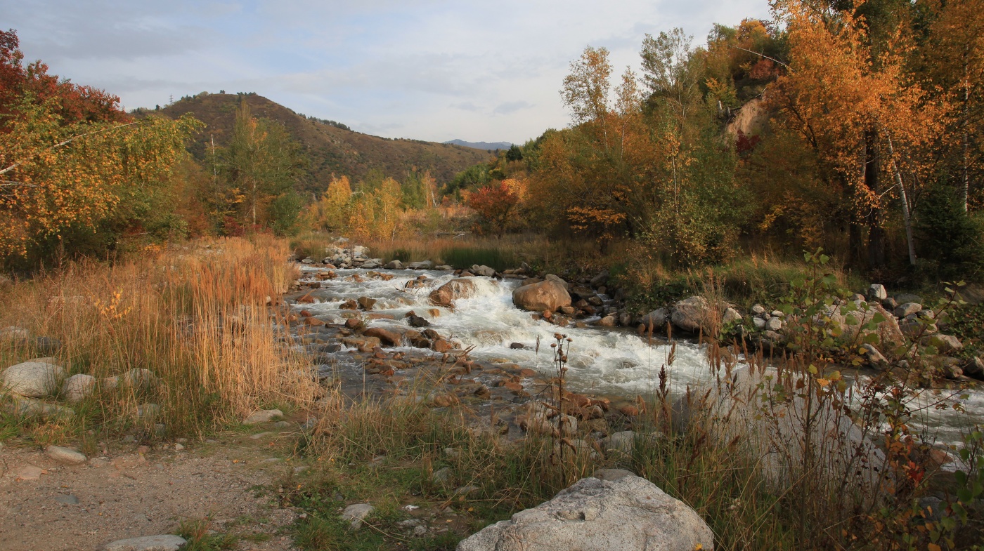 Осенний вечер