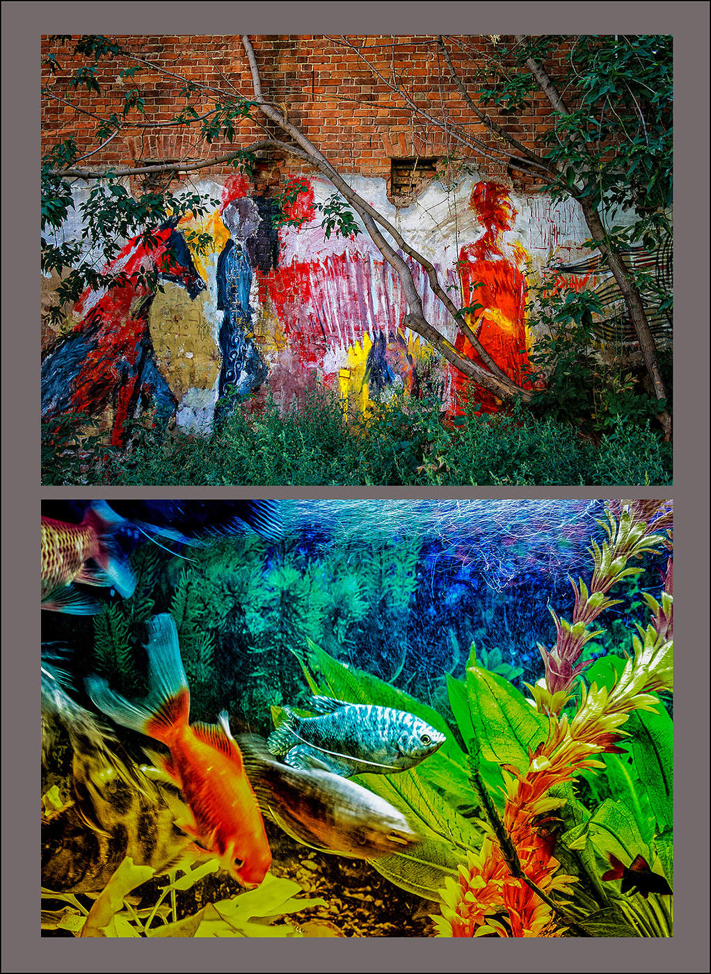 Аквариумное.