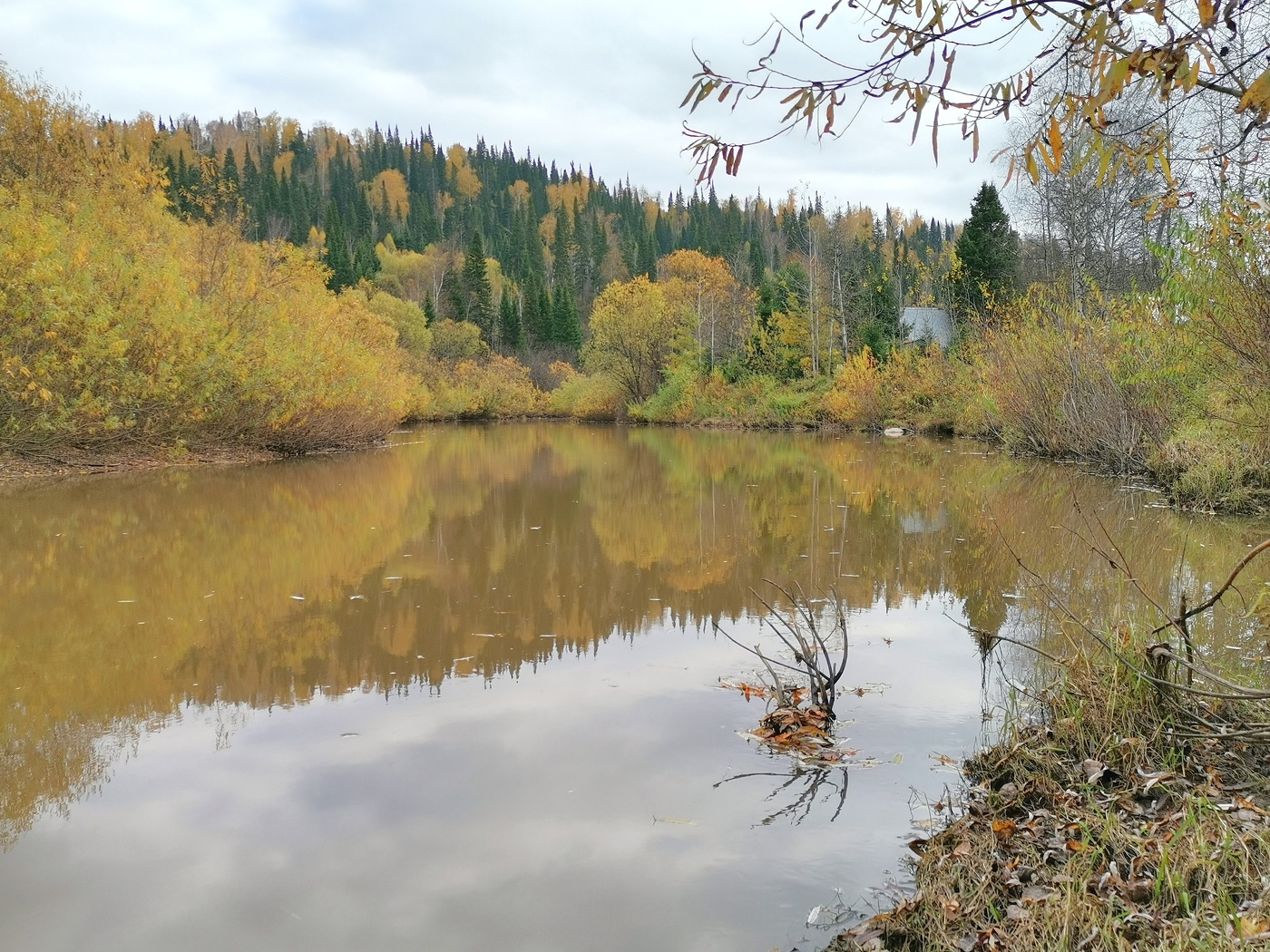 Яркий наряд сибирской тайги