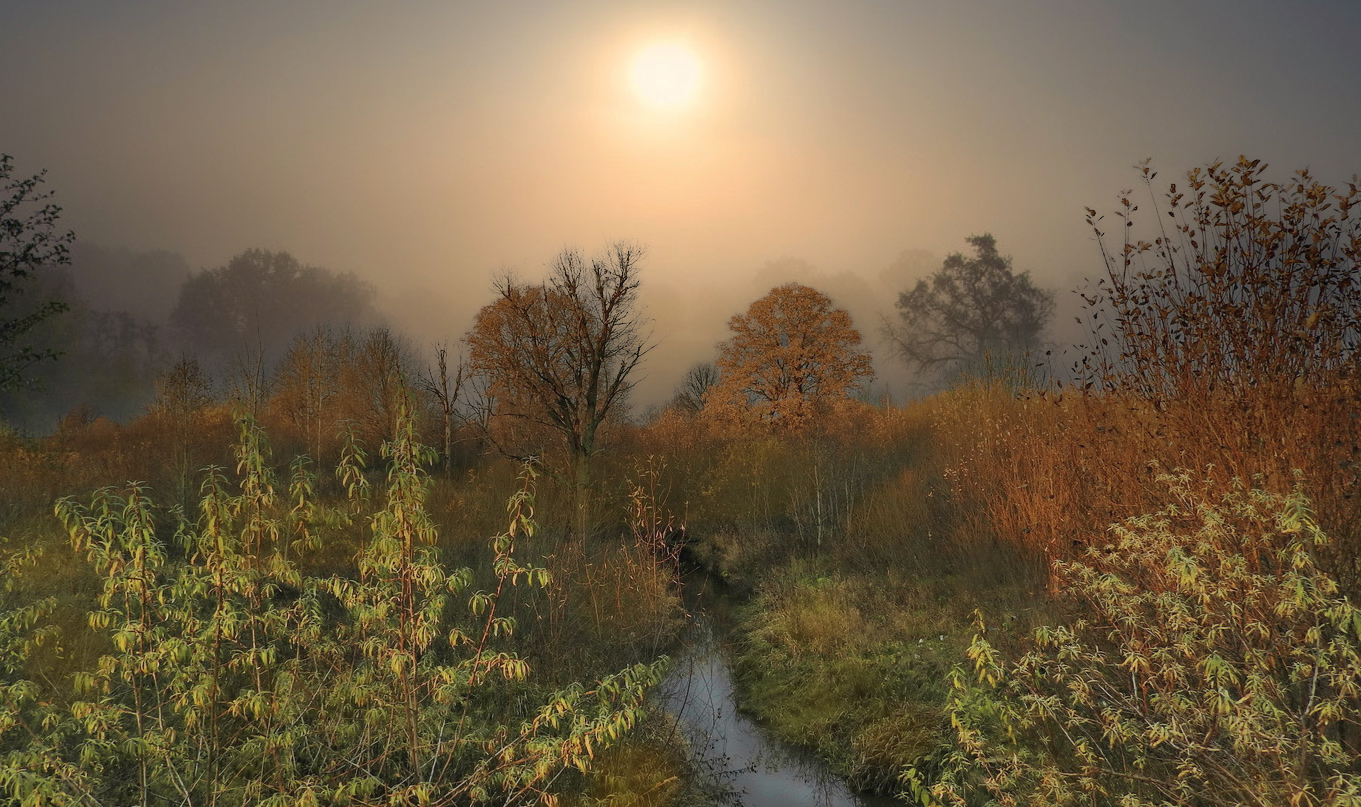 Очарование осенних туманов.