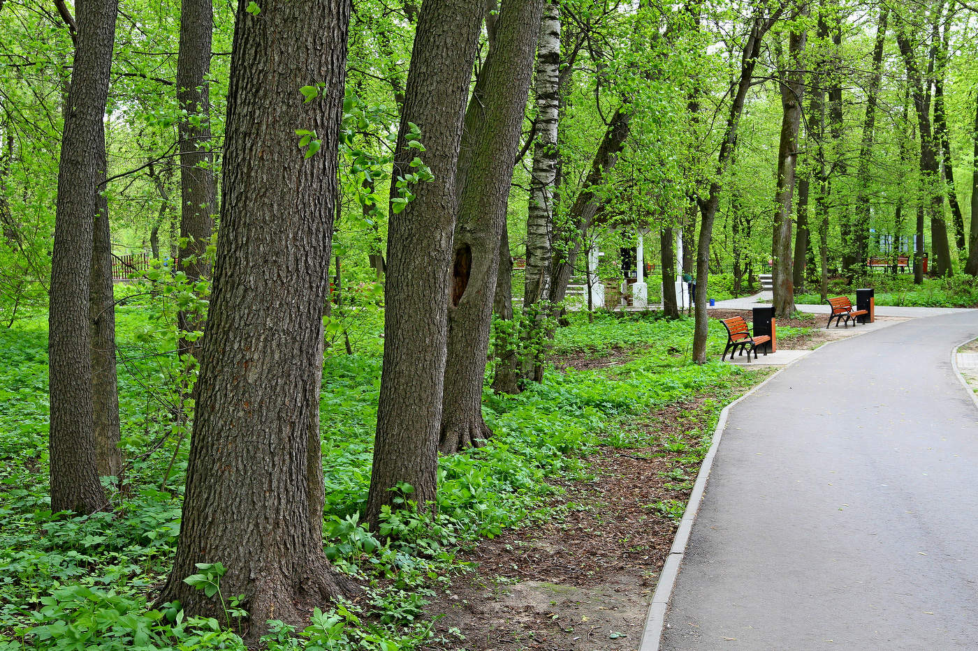 Кузьминки-Люблино