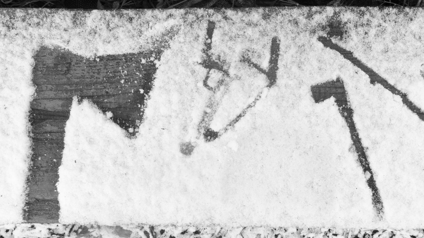 Жизнь вокруг