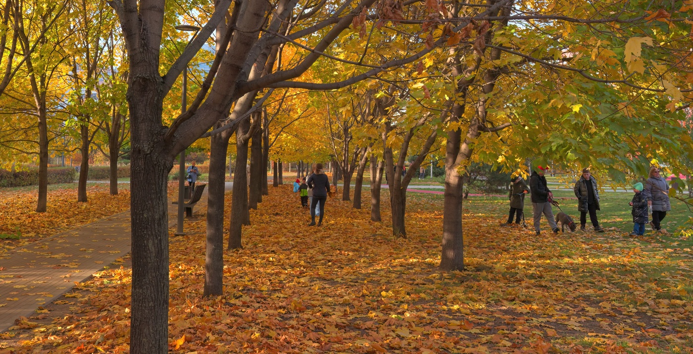 Золотые недолгие дни