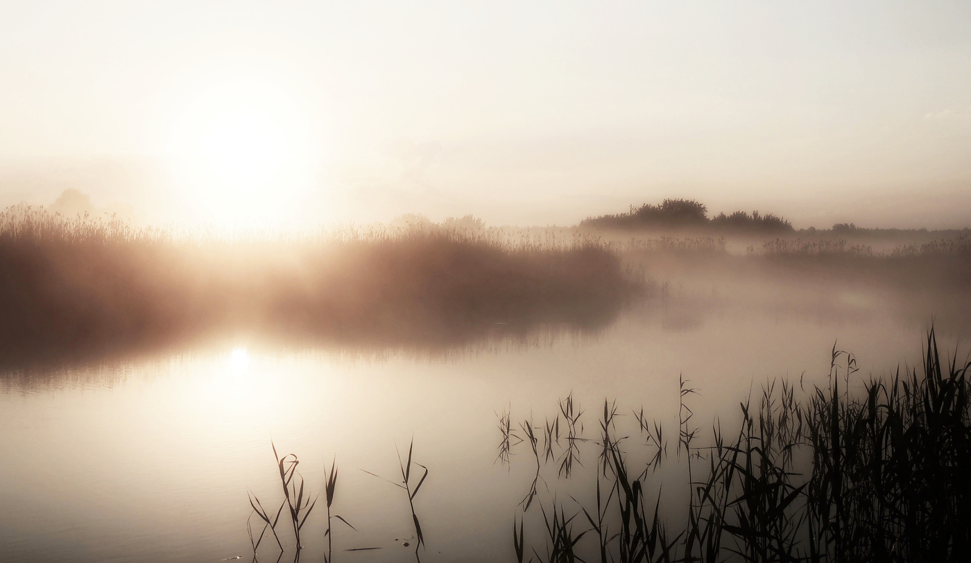 Туманный рассвет...