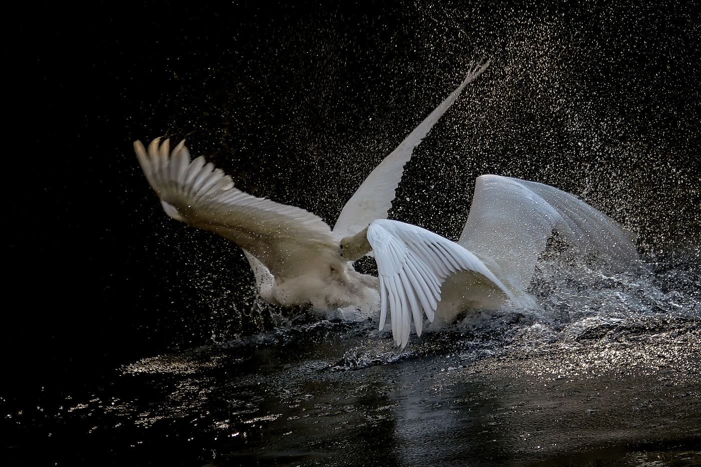 Он был очень настойчив