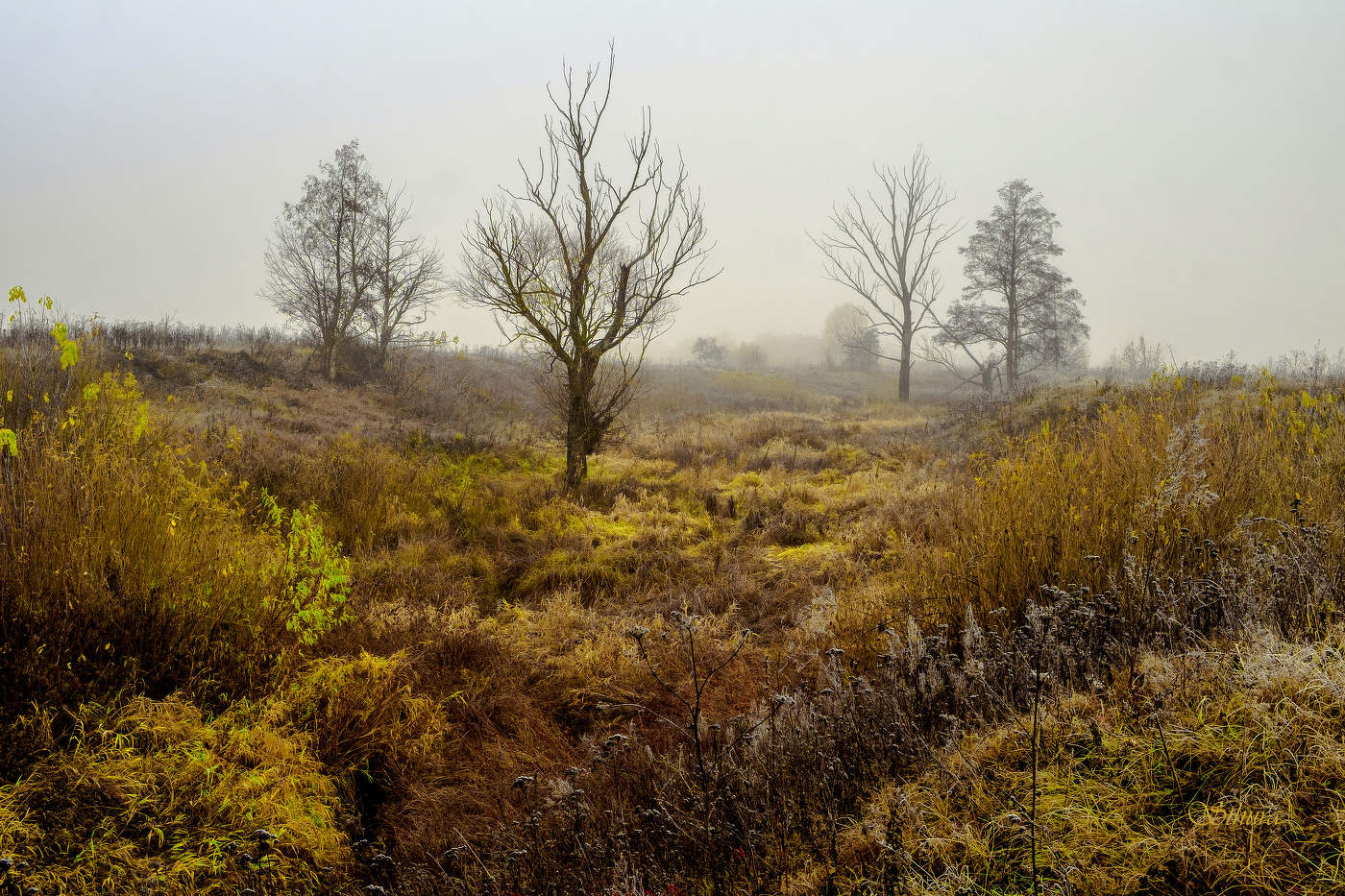 Старый овраг.