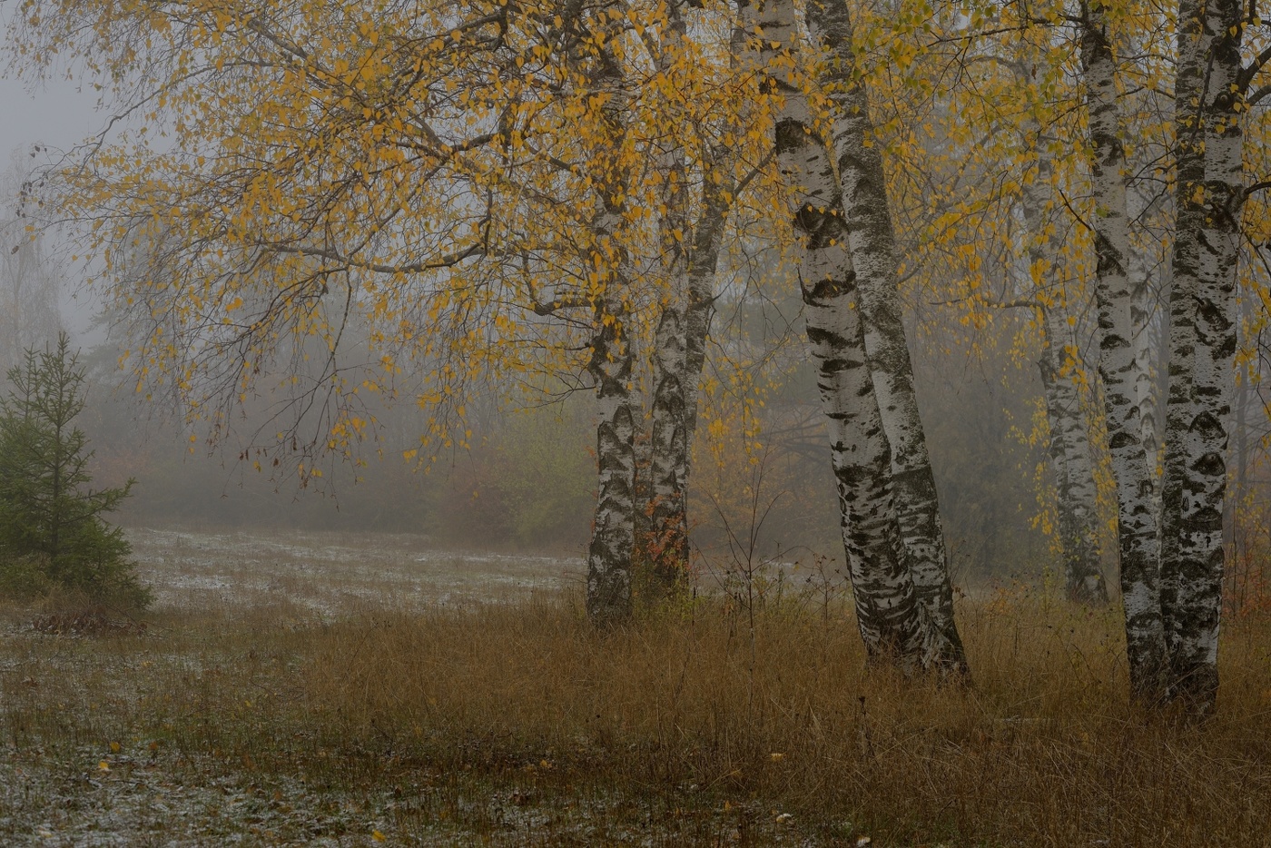 Осеннее утро