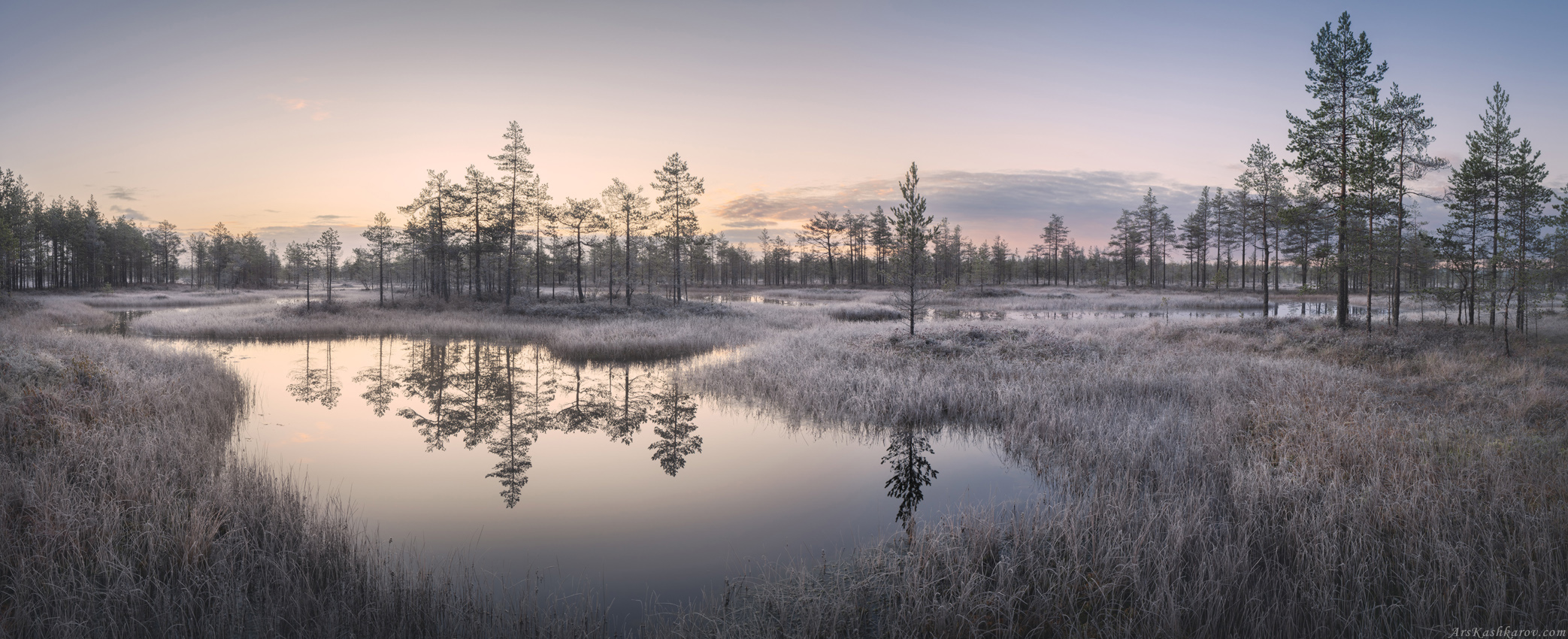 "Панорама болота"