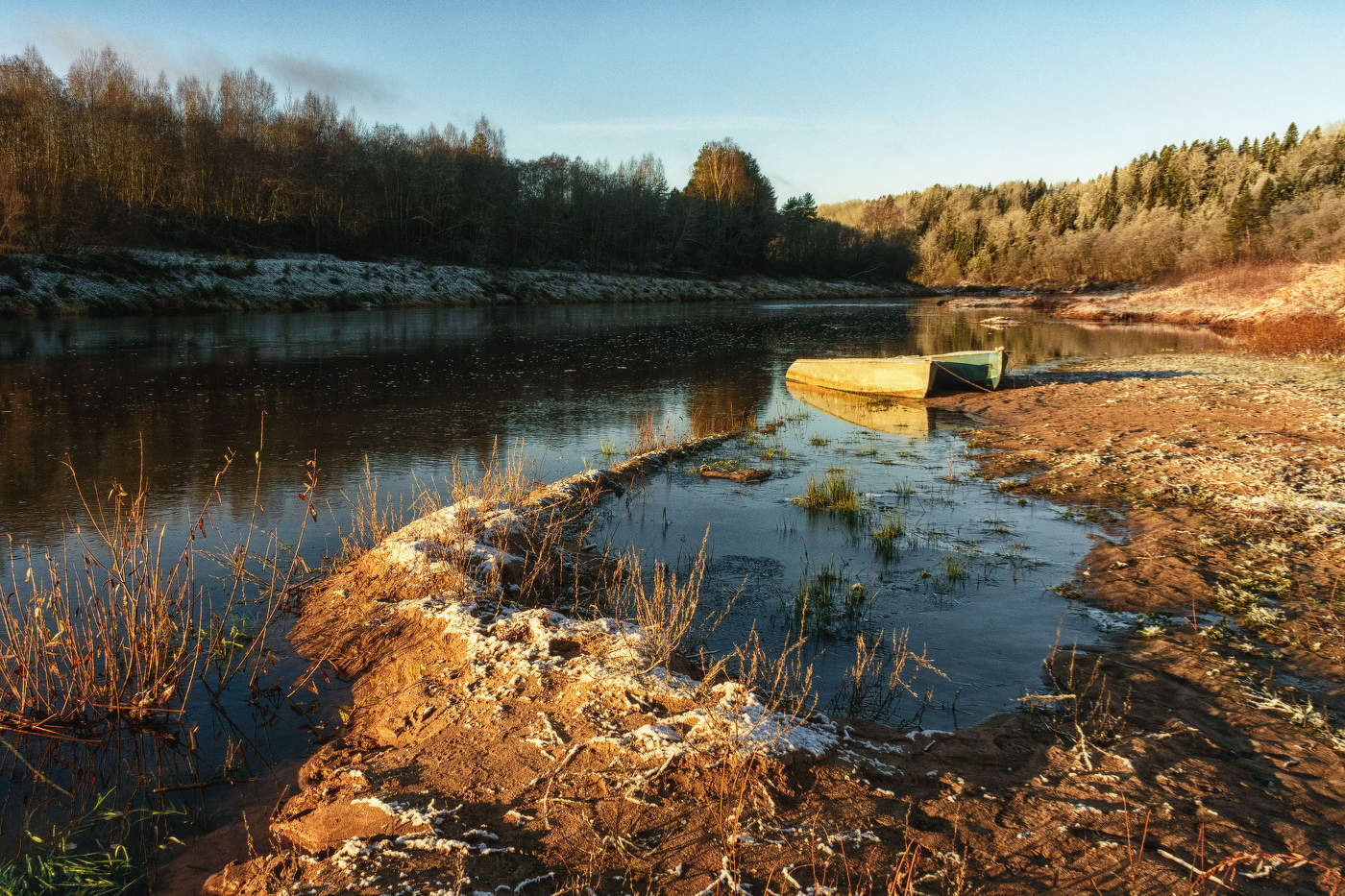 Жизнь вокруг