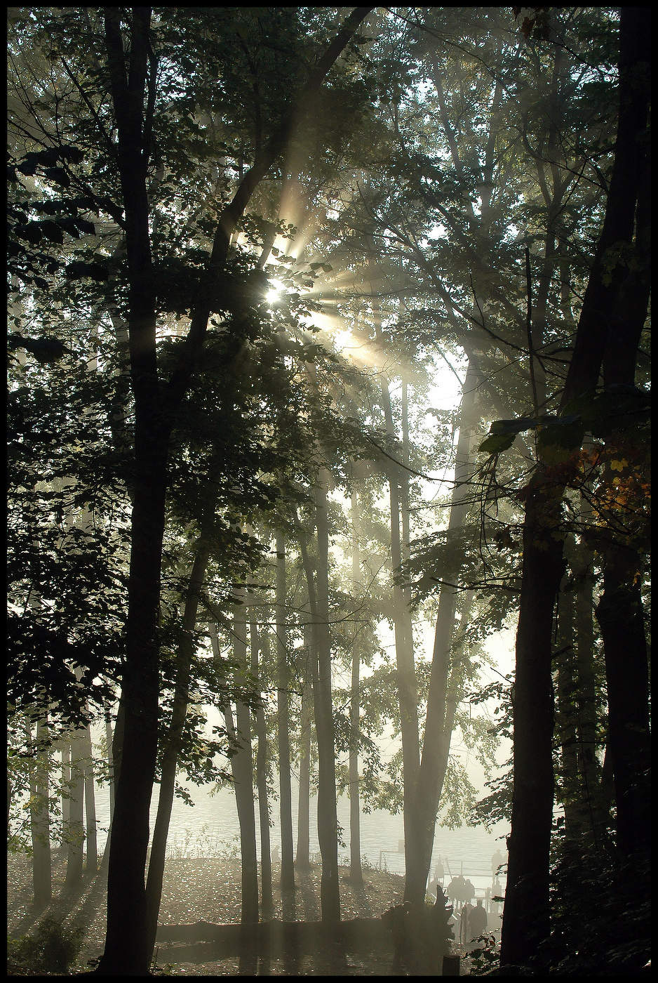 Утро туманное