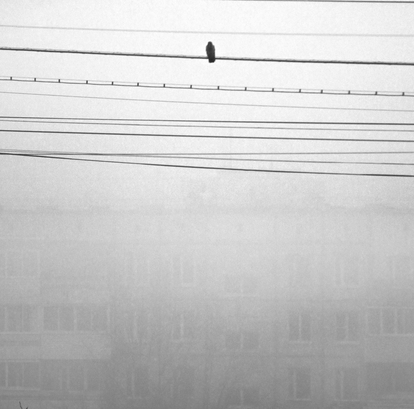 Хмурое утро