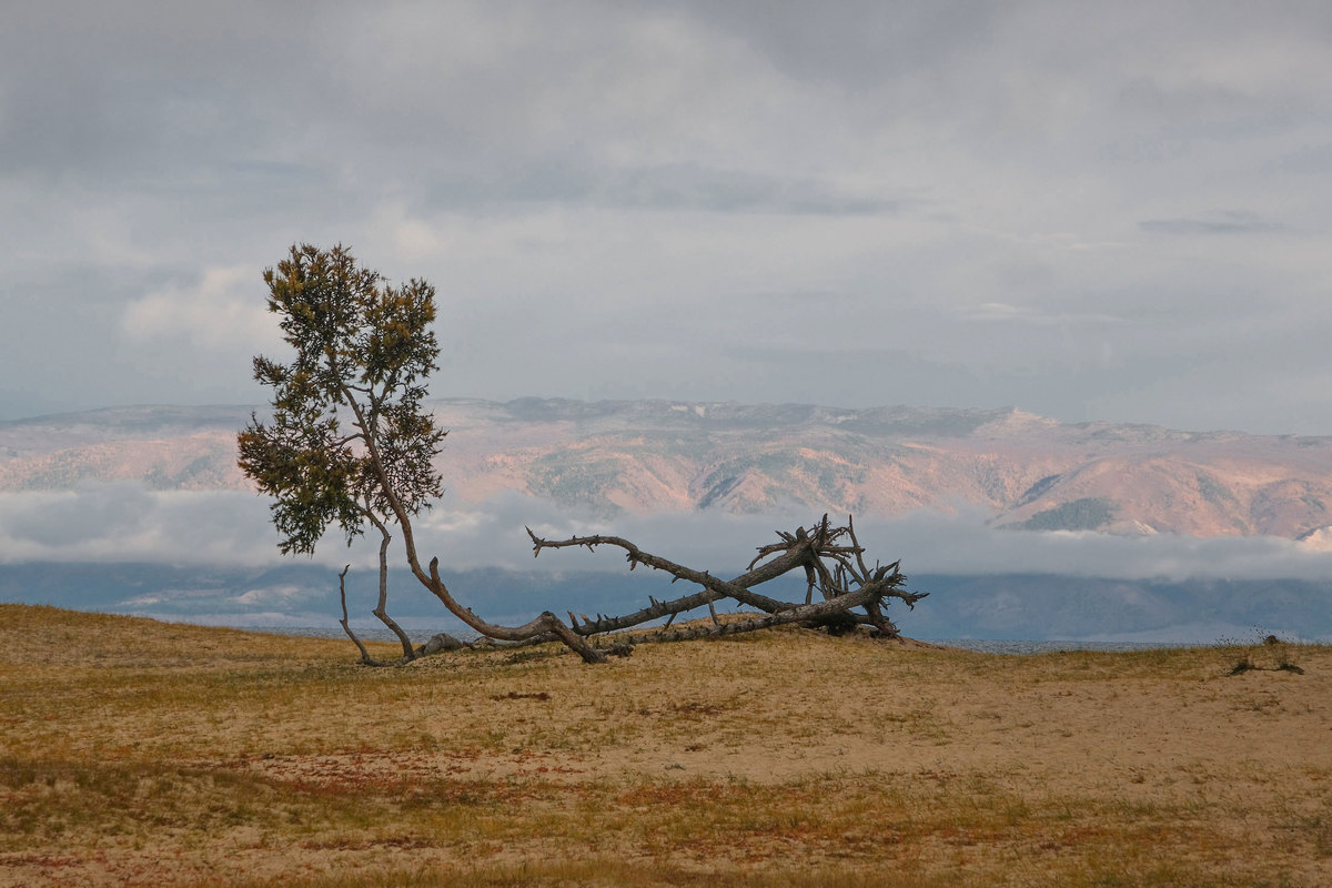 Осенний мотив Байкала.