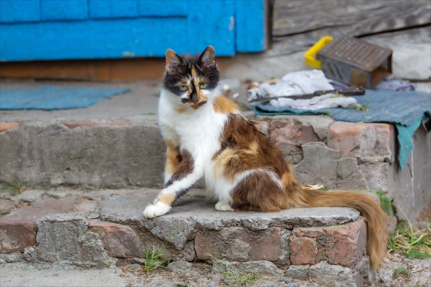 Захворала хозяйка, занедужила...