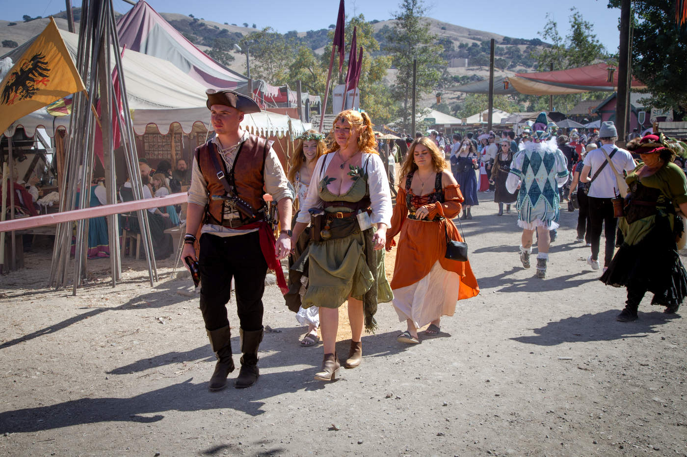 Калифорния. Фестиваль "Ренессанс"