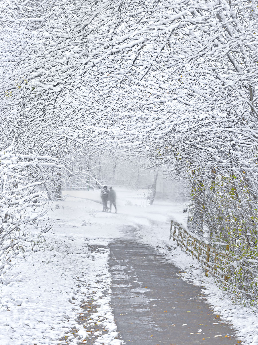 первый снег