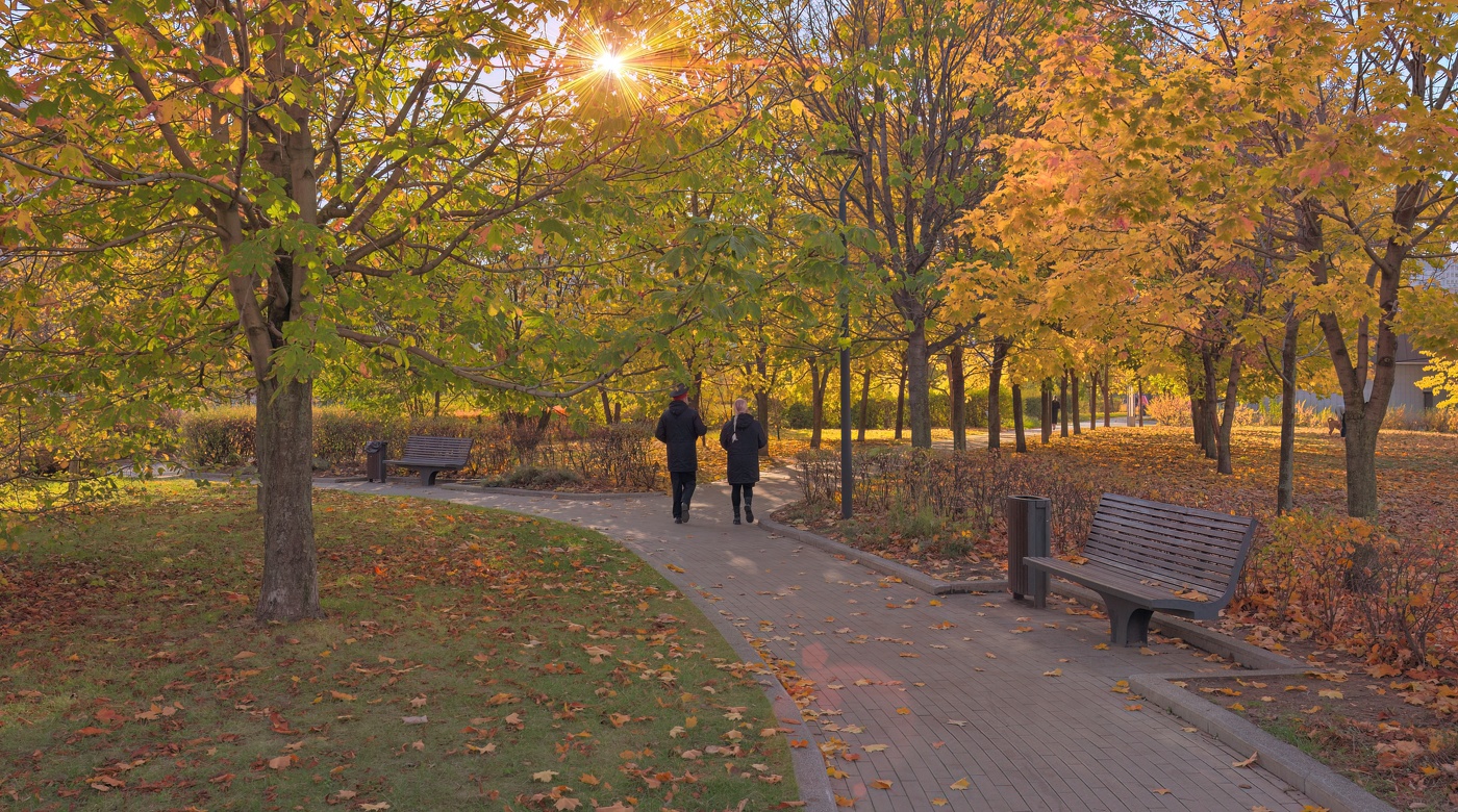 Осенние дни