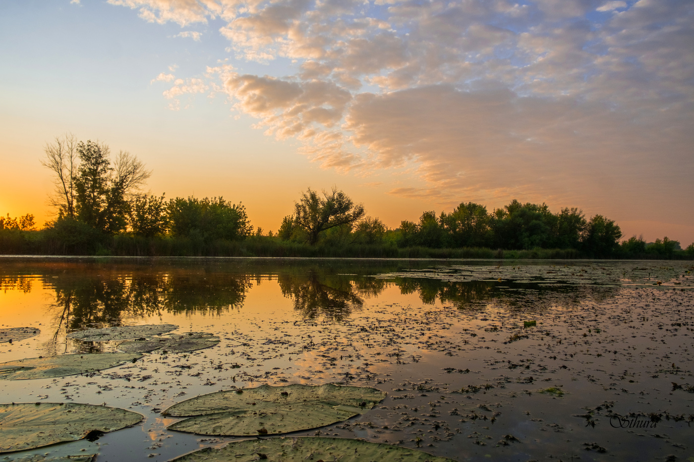 Летнее утро.