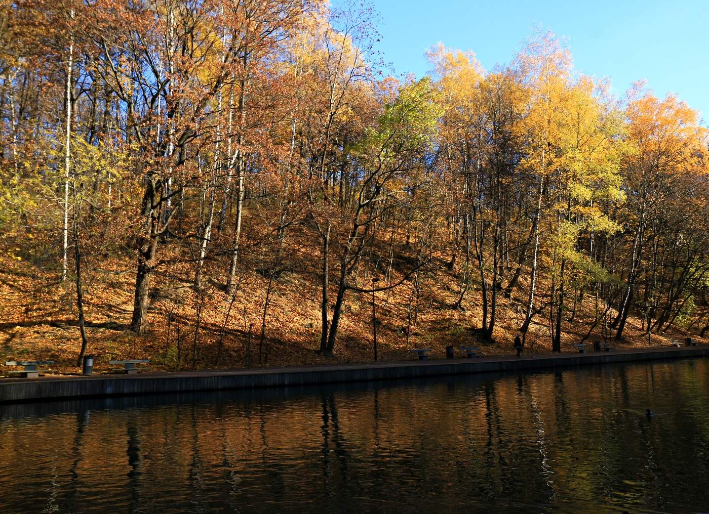 Нескучный сад