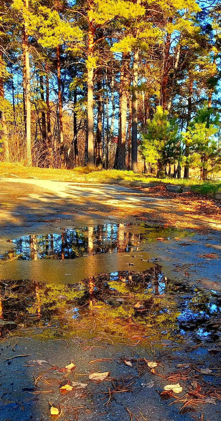 похожий день