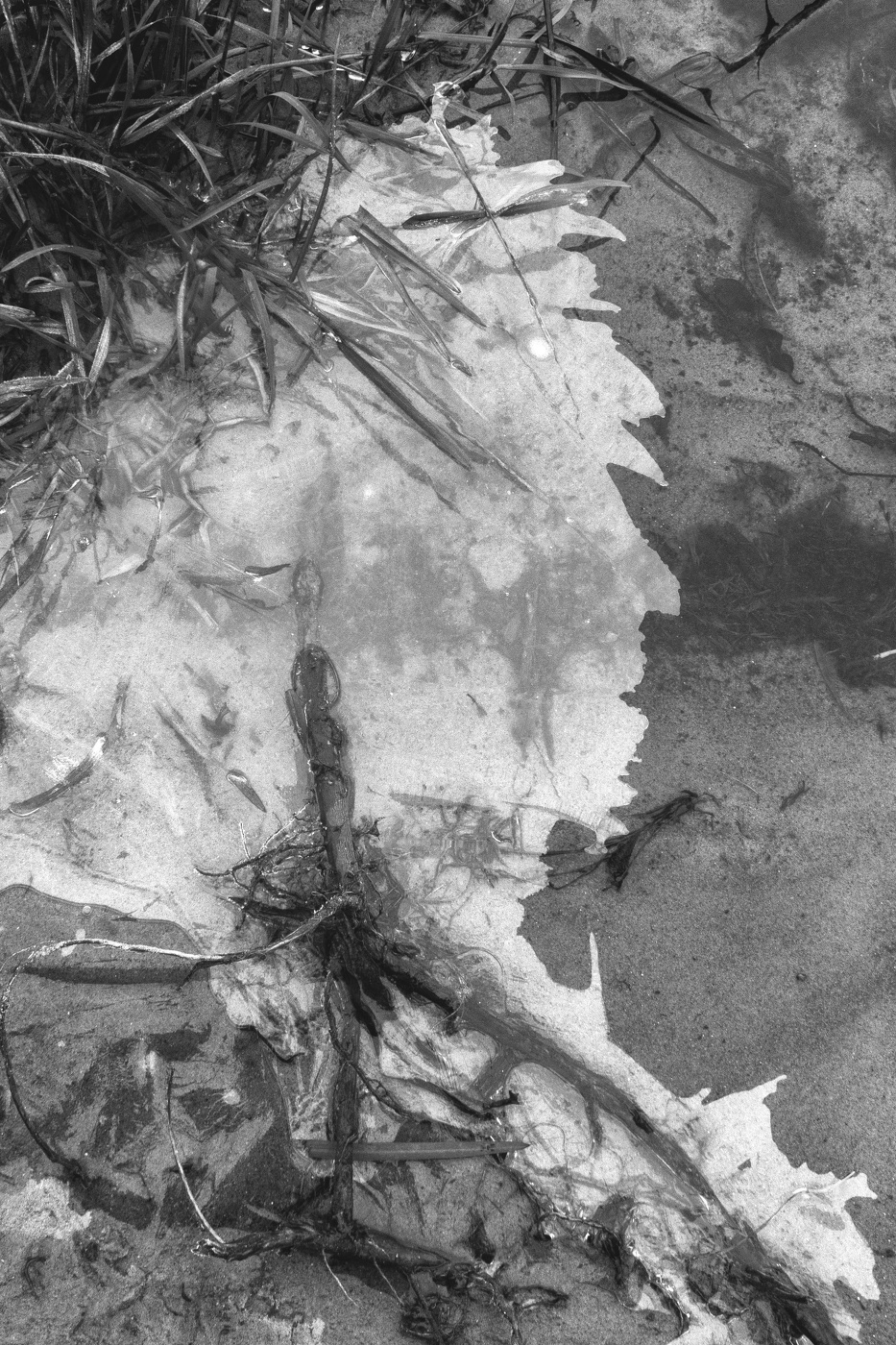 Жизнь вокруг