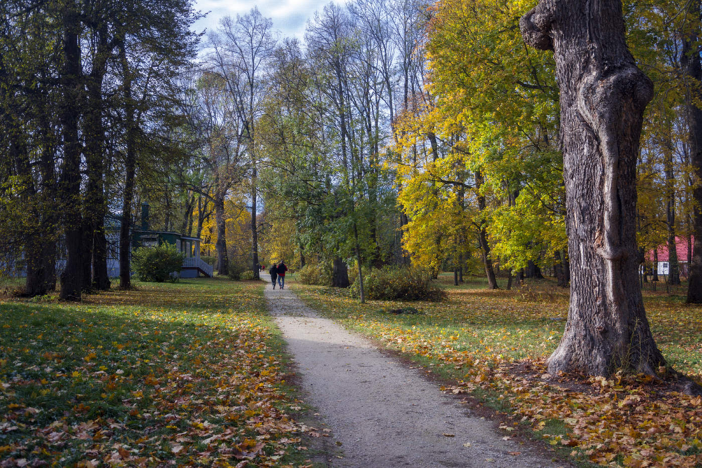 Осенние прогулки