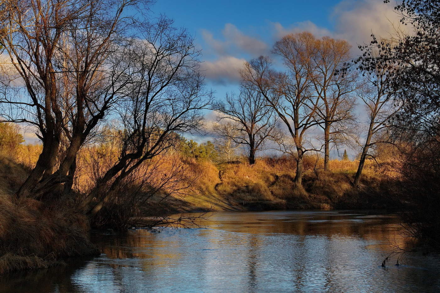 Ноябрьский день.