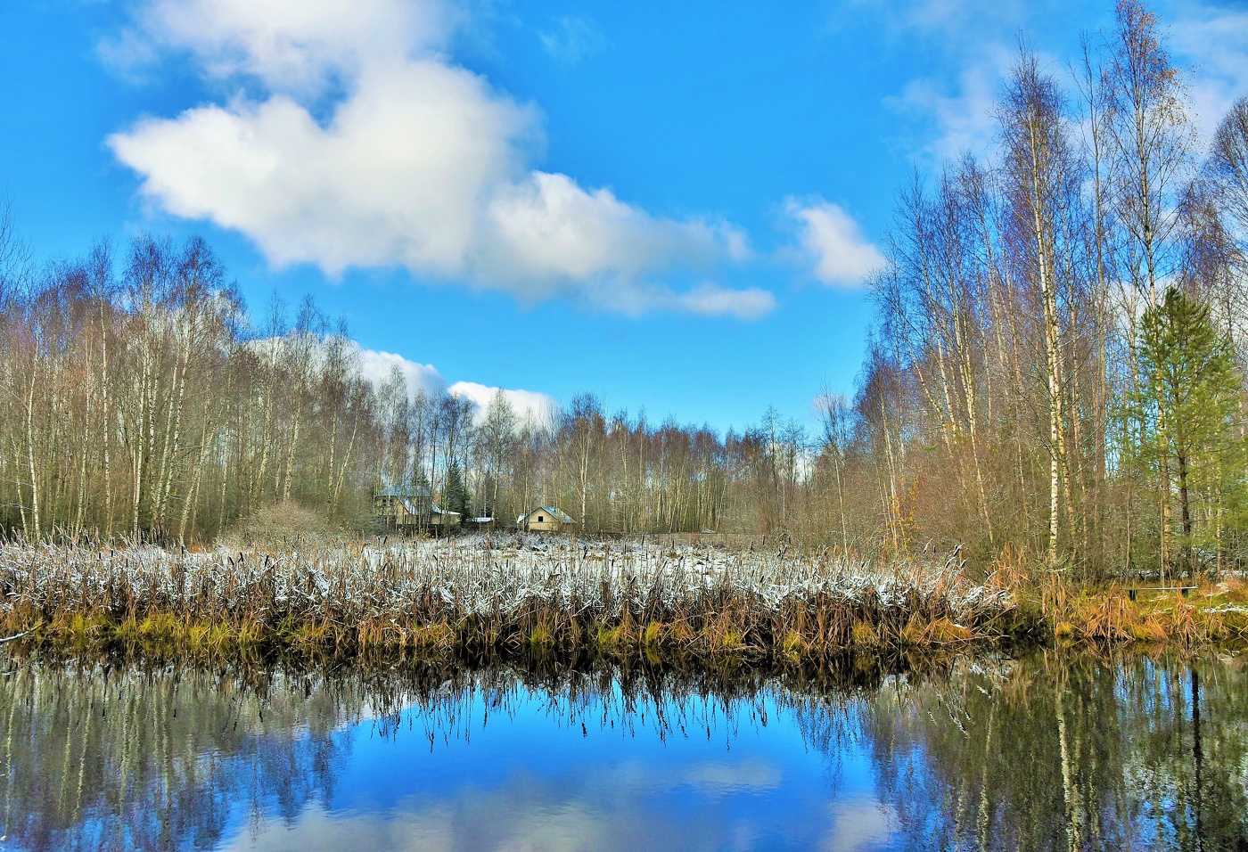 Ноябрьские деньки ...