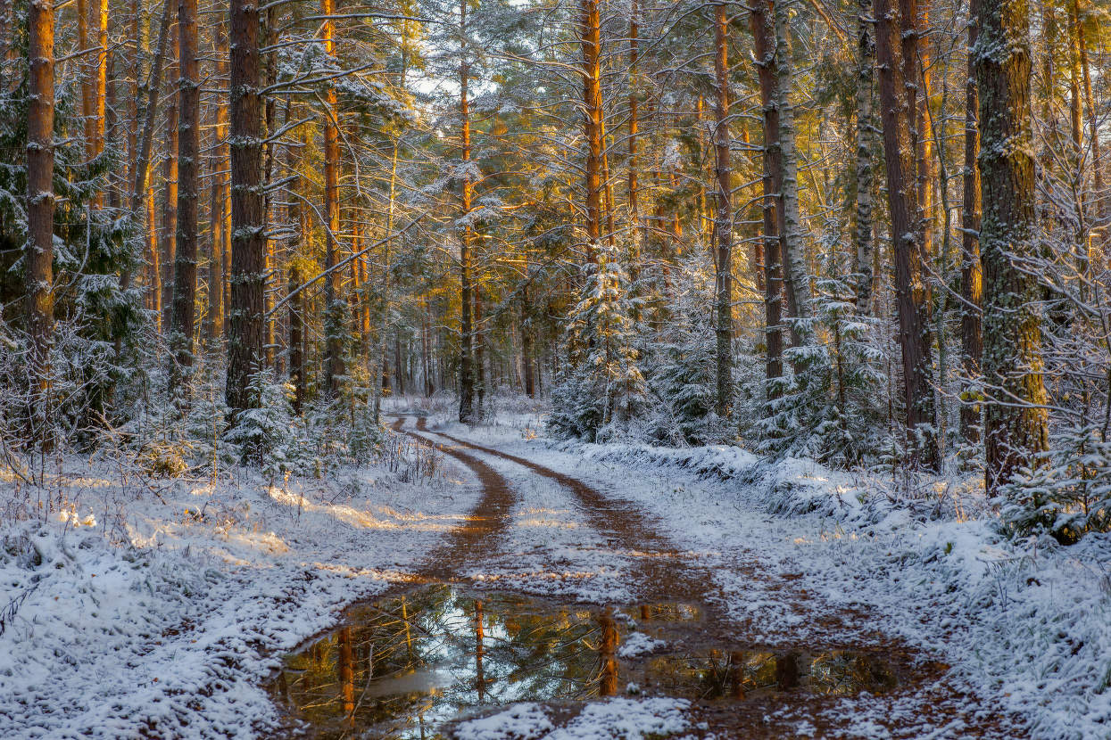 Вечер первого снега