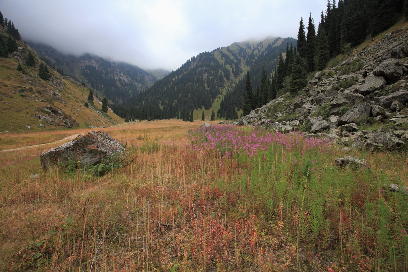 Горная поляна