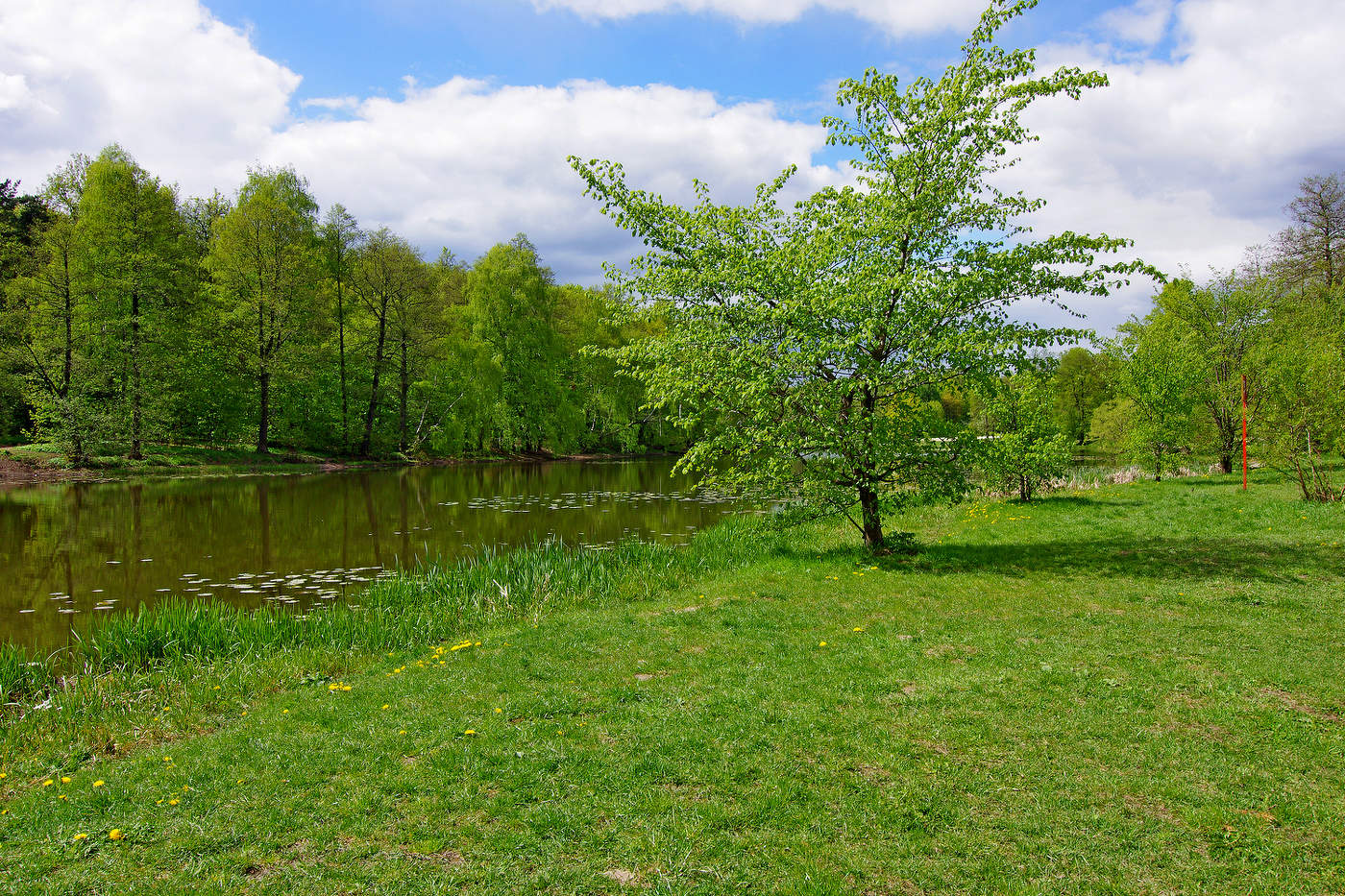 Верхний Кузьминский пруд