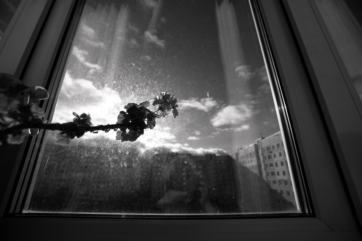 окно бы помыть ..