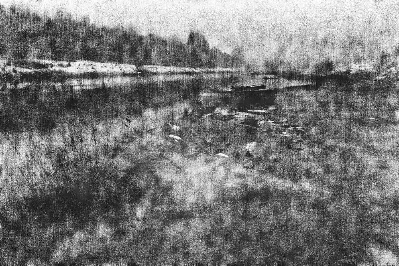 Жизнь вокруг