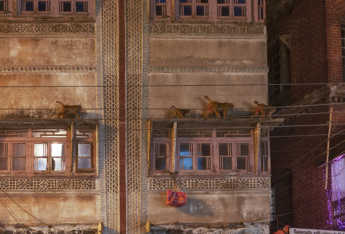 Форточники